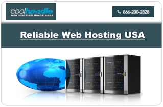 Reliable Web Hosting USA