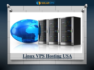 Linux VPS Hosting USA