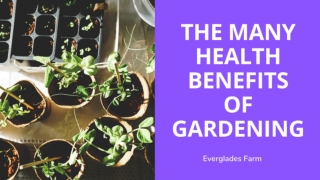 THE MANY HEALTH BENEFITS OF GARDENING