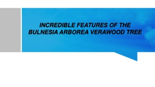 INCREDIBLE FEATURES OF THE BULNESIA ARBOREA VERAWOOD TREE