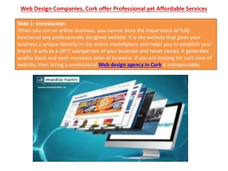 Web Design Companies, Cork offer Professional yet Affordable Services
