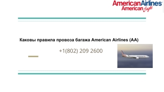 Каковы правила провоза багажа American Airlines (AA)