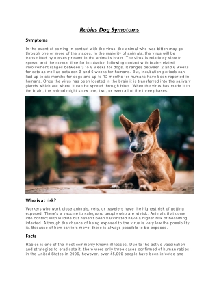 Rabies Dog Symptoms