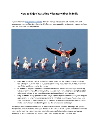 How to Enjoy Watching Migratory Birds in India