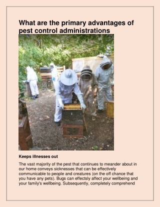 Best Female Pest Control in Ipswich