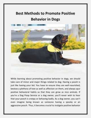Best Methods to Promote Positive Behavior in Dogs