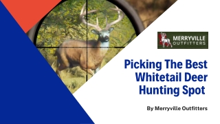 Pick The Best White Tail Deer Hunting Spot