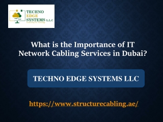 What is the Importance of IT Network Cabling Services in Dubai?