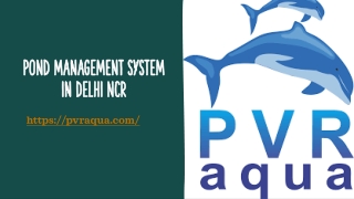 Pond Management System in Delhi NCR