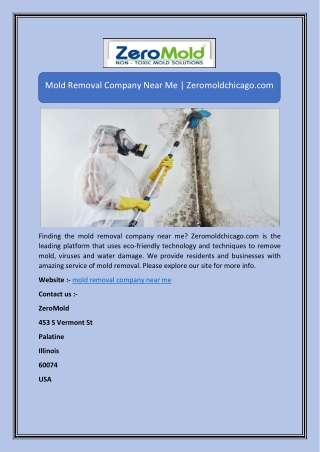 Mold Removal Company Near Me | Zeromoldchicago.com