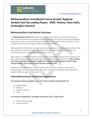 Methanesulfonic Acid Market
