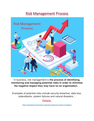 Risk Management Process