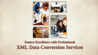 Ensure Excellence with Professional XML Data Conversion Services