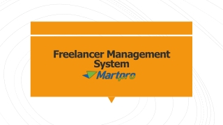 Freelancer Management System