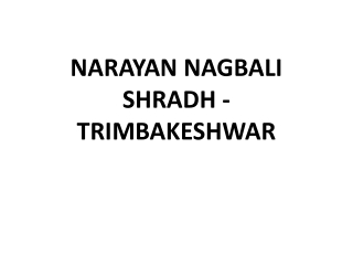 NARAYAN NAGBALI SHRADH - TRIMBAKESHWAR