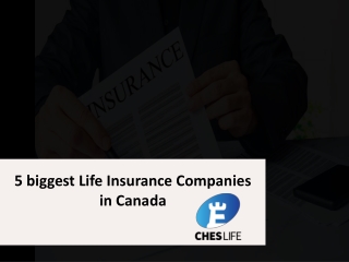 5 biggest Life Insurance Companies in Canada
