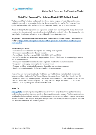 Turf Grass and Turf Solution Market Forecasts to 2028