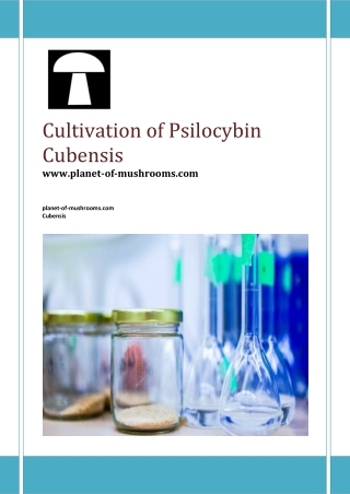 Cultivation of Psilocybin Cubensis - Planet-of-mushrooms