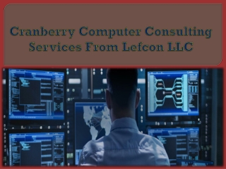 Cranberry Computer Consulting Services From Lefcon LLC