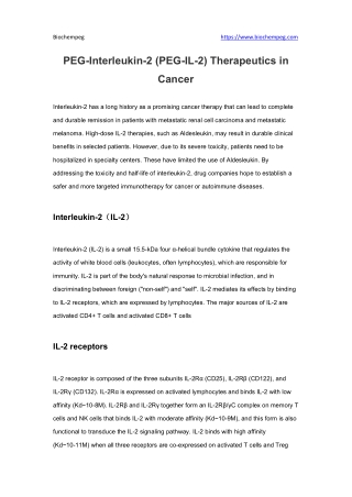 PEG-Interleukin-2 (PEG-IL-2) Therapeutics in Cancer