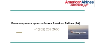 Каковы правила провоза багажа American Airlines (AA)