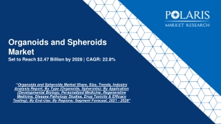 Organoids and Spheroids Market