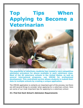 Top Tips When Applying to Become a Veterinarian