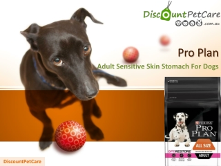 Pro Plan Adult Sensitive Skin Stomach Dry Dog Food | DiscountPetCare