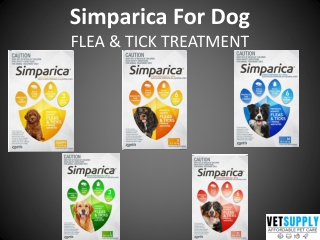 Simparica Chewables for Dogs | Flea and Tick treatment | VetSupply