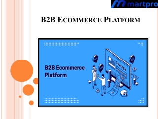 B2B Ecommerce Platform