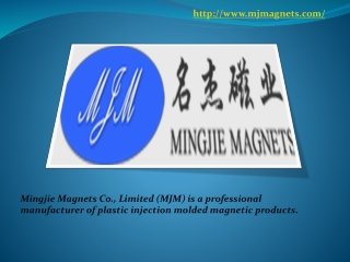 Best Injection Molded Magnets Supplier