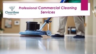 Professional Commercial Cleaning Services