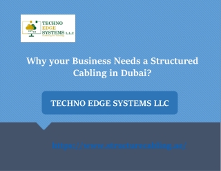 Why your Business Needs a Structured Cabling in Dubai?