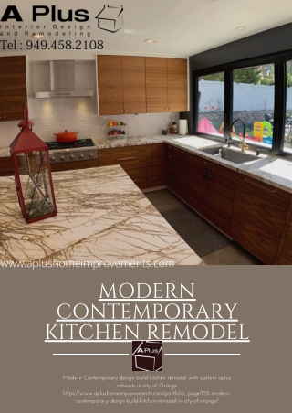 Modern Contemporary kitchen remodel