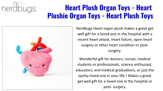 Neuron Plush Organ Toys - Nerdbugs LLC