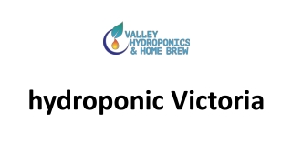 hydroponic Victoria
