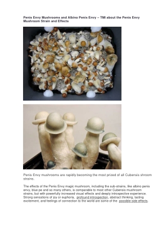 ​Penis Envy Mushrooms and Albino Penis Envy – The penis envy mushroom strains
