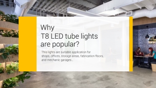 Why T8 LED tube lights are popular?