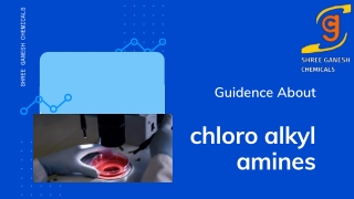 Guidance On chloro alkyl amines By shree ganesh chemicals