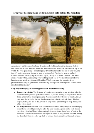 Wedding Dress Preservation