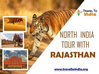 North  India tour with Rajasthan