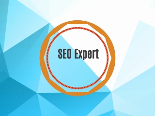 SEO Expert