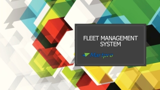 Fleet Management System