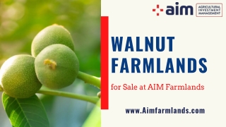 Walnut Farmlands for Sale at AIM Farmlands