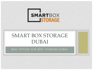 Smart box storage Dubai, Storage facilities in Dubai