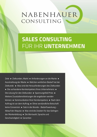 Muster eines Positionierungspapieres - Sales Consulting von Nabenhauer Consulting