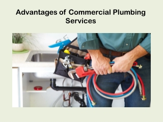 Advantages of Commercial Plumbing Services