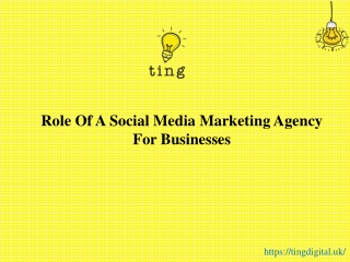 Role Of A Social Media Marketing Agency For Businesses