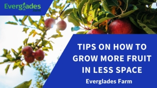 TIPS ON HOW TO GROW MORE FRUIT IN LESS SPACE