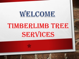 Timberlimb Tree Services